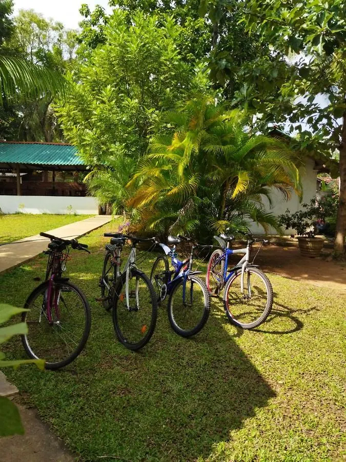 *** Hotel La Dolce Vita Sigiriya Sri Lanka