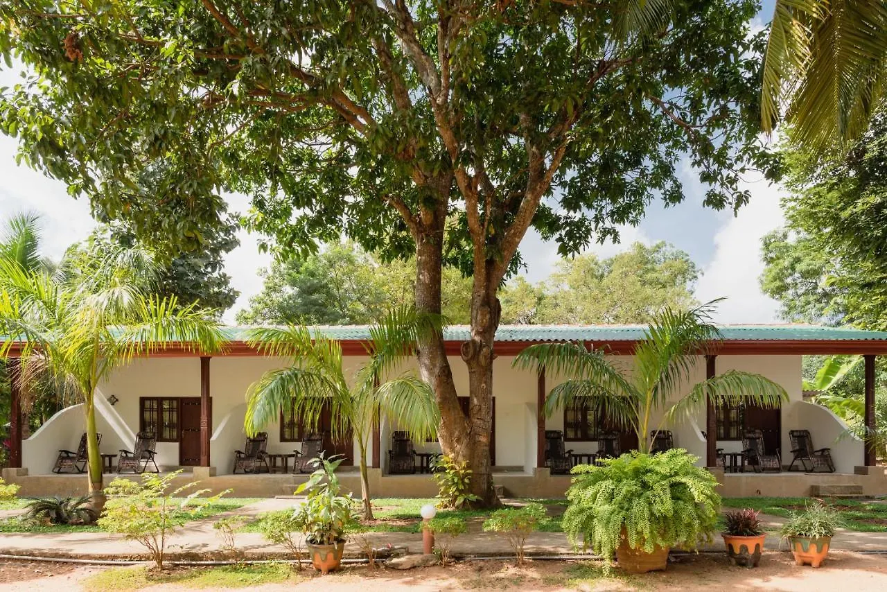 *** Hotel La Dolce Vita Sigiriya Sri Lanka