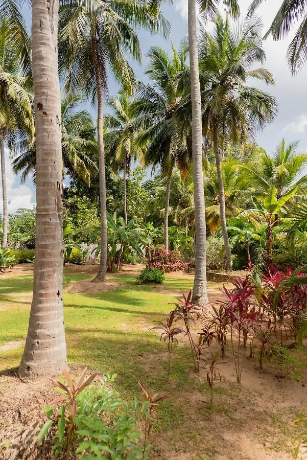 Hotel La Dolce Vita Sigiriya